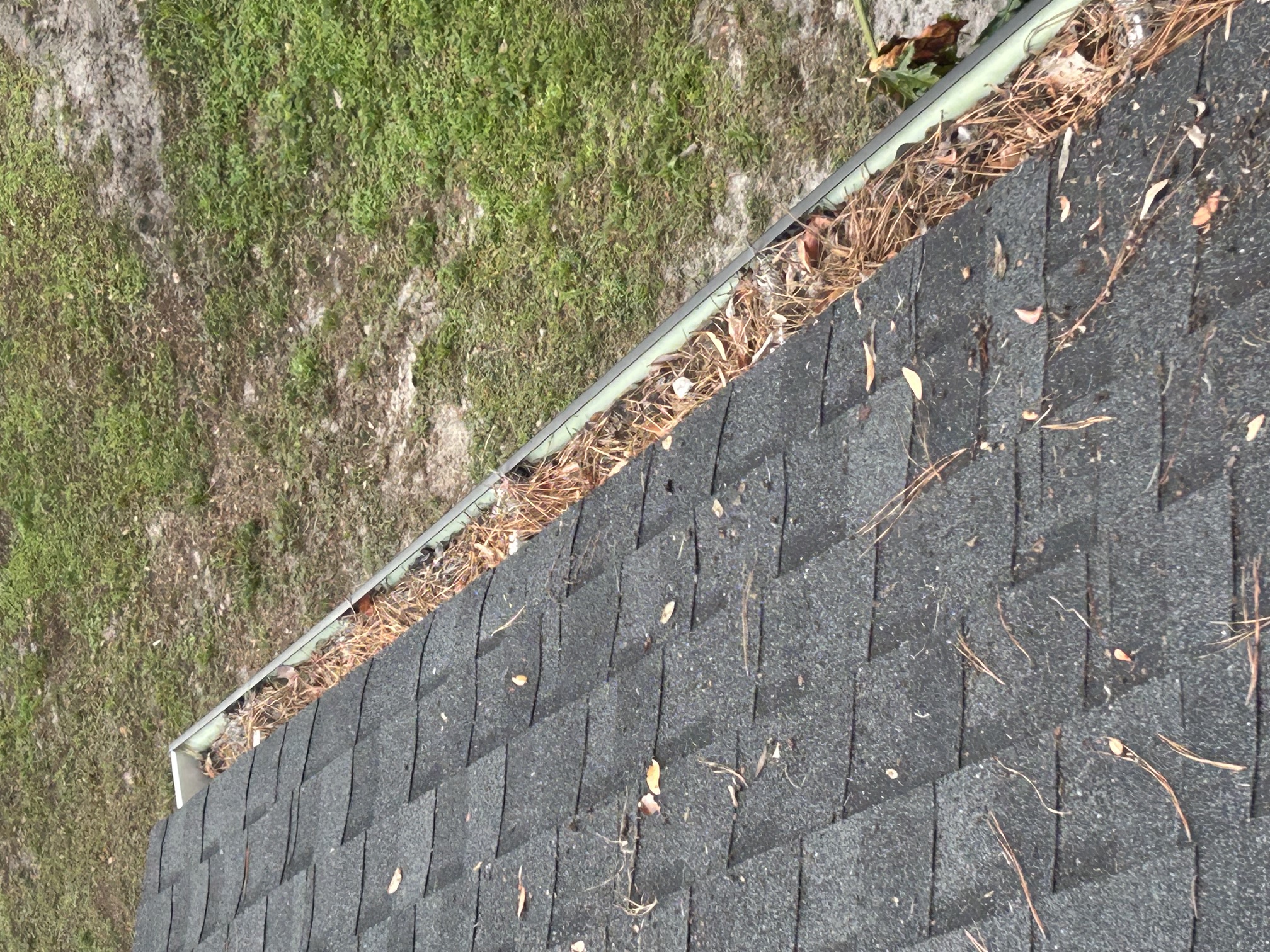 Before: gutter packed with pine needles and leaf debris